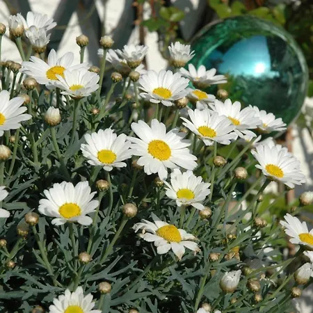 Nest Tatil Evi Blaichach