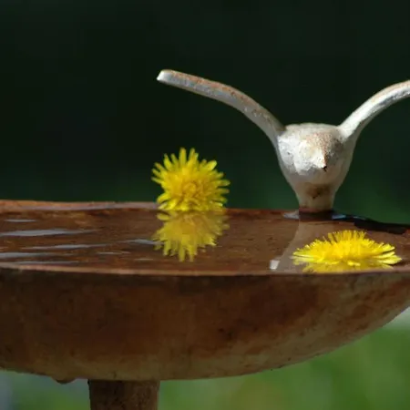 Nest Ferienhaus